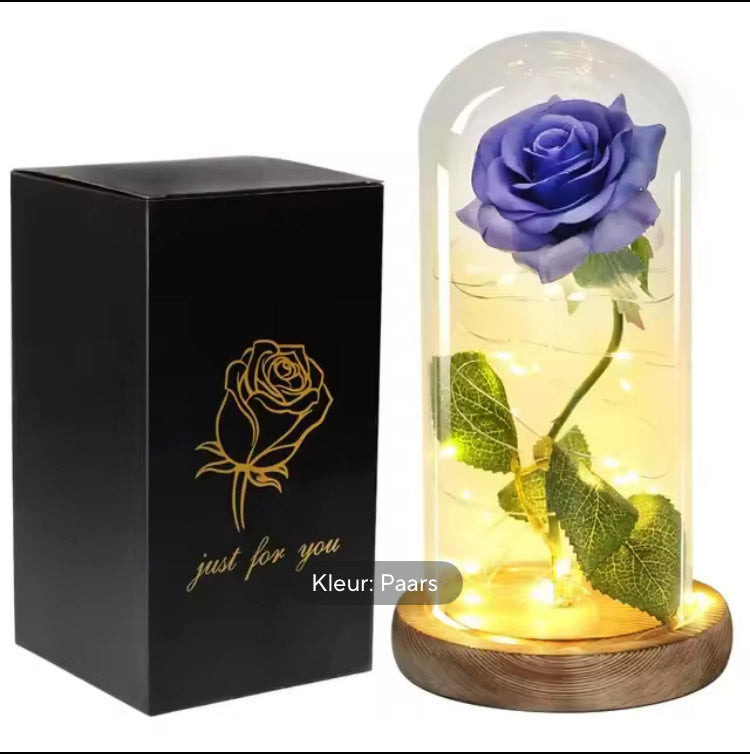 Eeuwige Roos met LED Licht – Glazen Stolp | Romantisch Cadeau