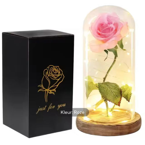 Eeuwige Roos met LED Licht – Glazen Stolp | Romantisch Cadeau